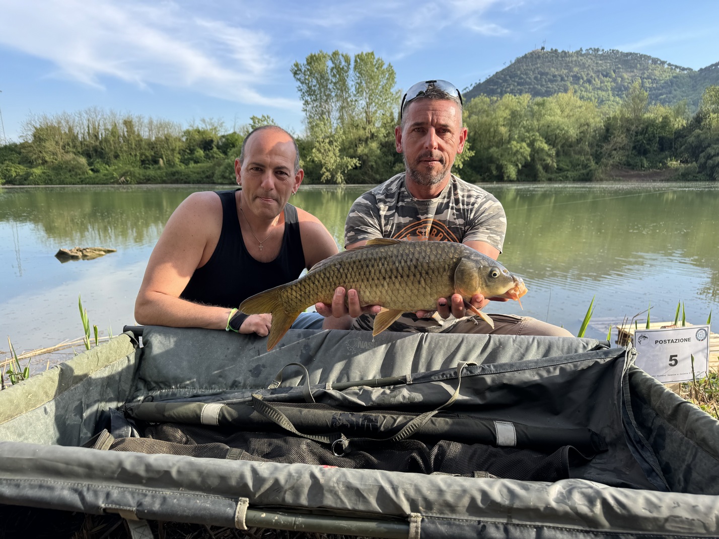 Carpa Regina
